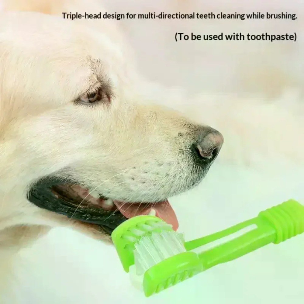 3面ペット歯ブラシ犬猫歯科口腔ケアブラシ口臭歯石除去プラスチ - Teeth Whitening Brush のレビューと価格