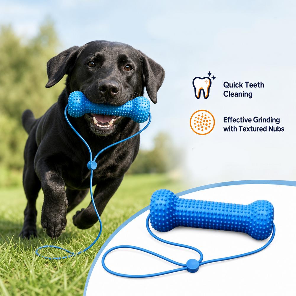 ペットの歯ぎしりブラッシング用噛む棒 クイックブラッシング噛 - Teeth Whitening Brush のレビューと価格